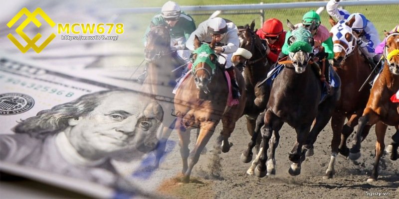 Cược đơn khá đơn giản